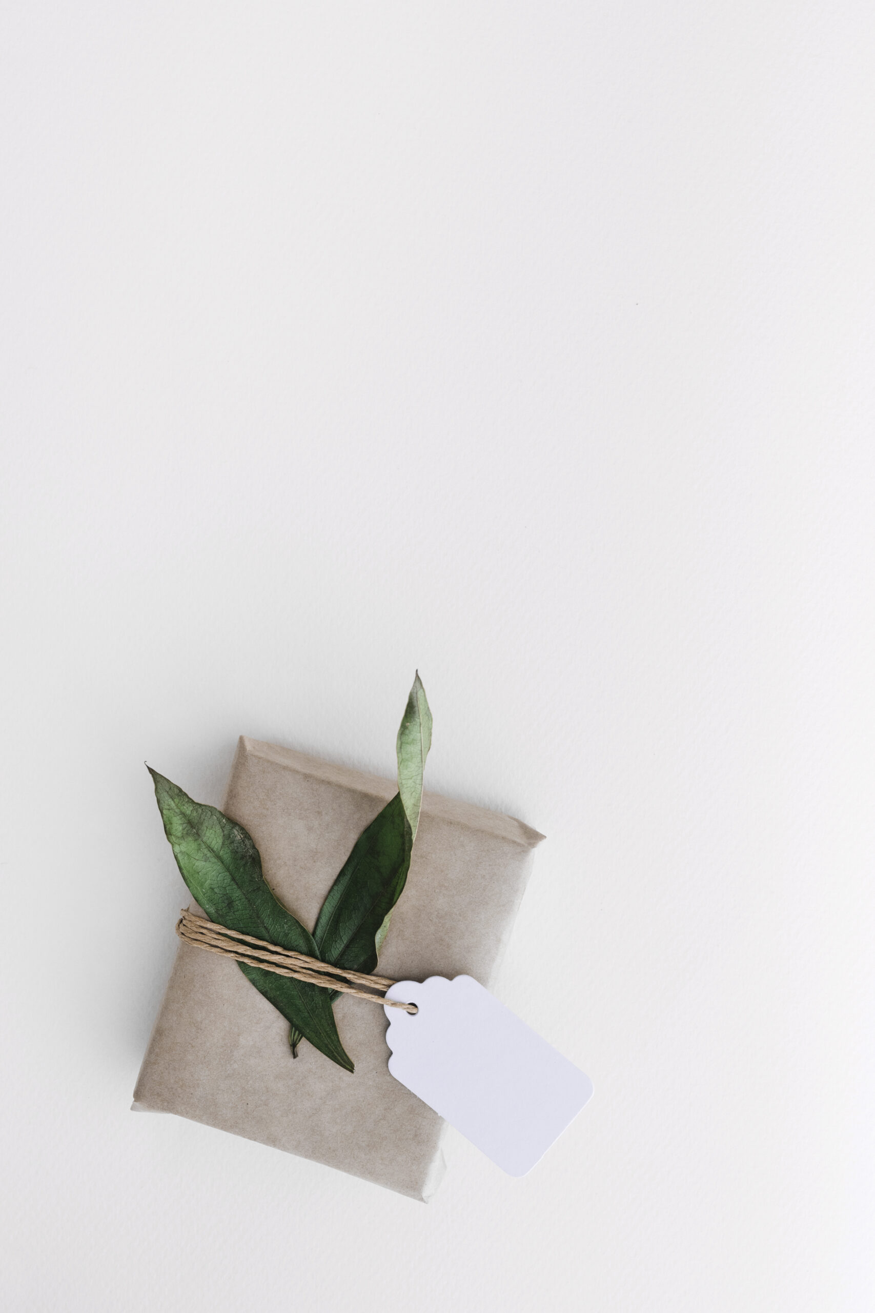 wrapped gift box with tag leaves white background (1)